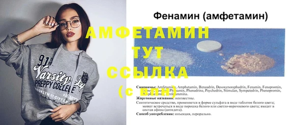 индика Новокубанск