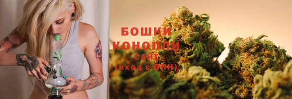 индика Новокубанск