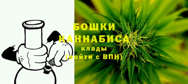 PSILOCYBIN Елизово