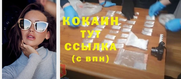 индика Новокубанск