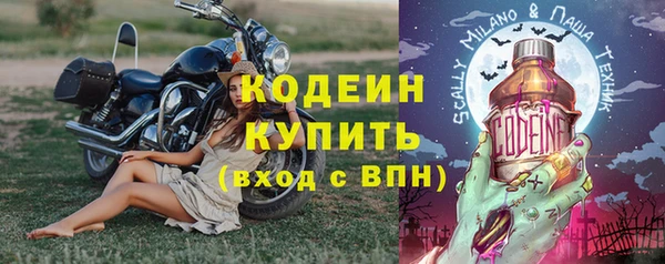 индика Новокубанск