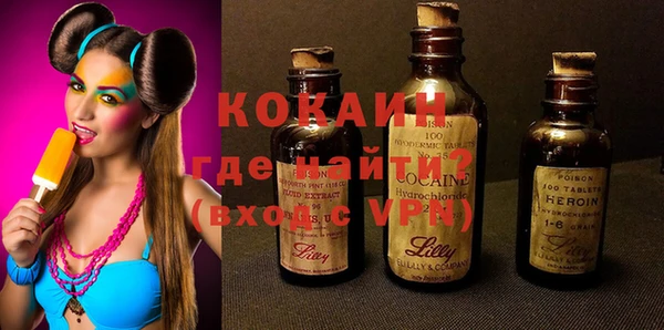 индика Новокубанск