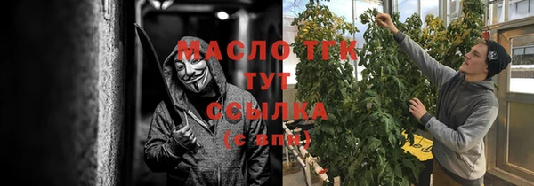 индика Новокубанск