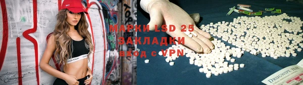 индика Новокубанск