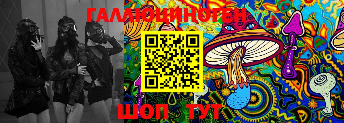 Галлюциногенные грибы Psilocybe  Кандалакша  Галлюциногенные грибы ЛСД 