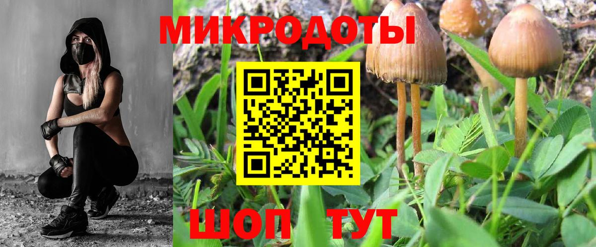 Псилоцибиновые грибы MAGIC MUSHROOMS Кандалакша